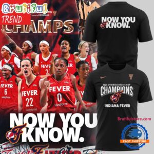 Sportswearmerch Indiana Fever WNBA T-Shirt For Fan